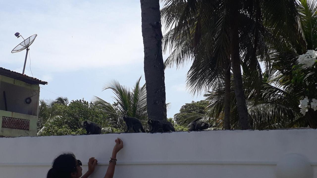 Pousada Caribe Nordestino Tamandaré エクステリア 写真