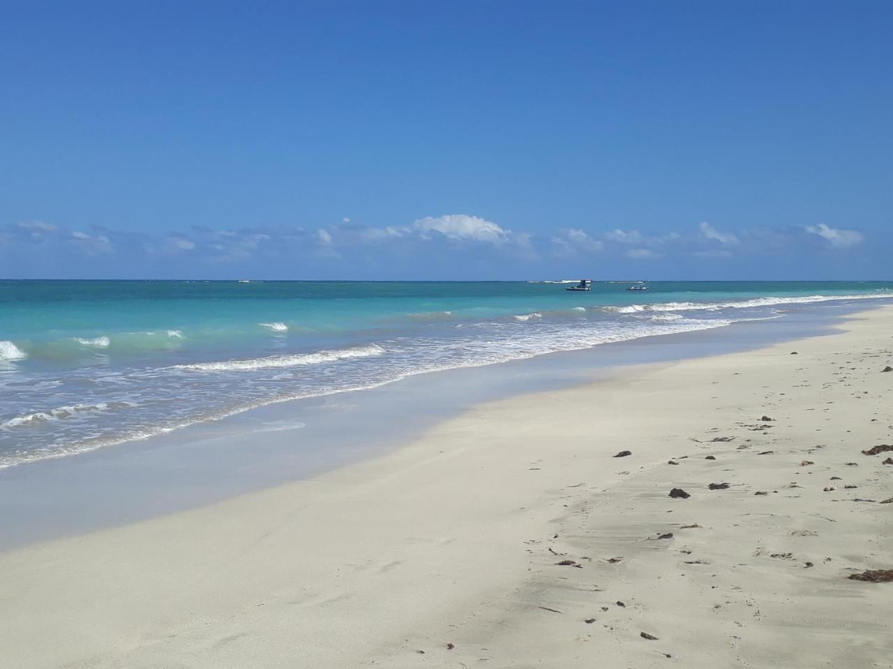 Pousada Caribe Nordestino Tamandaré エクステリア 写真
